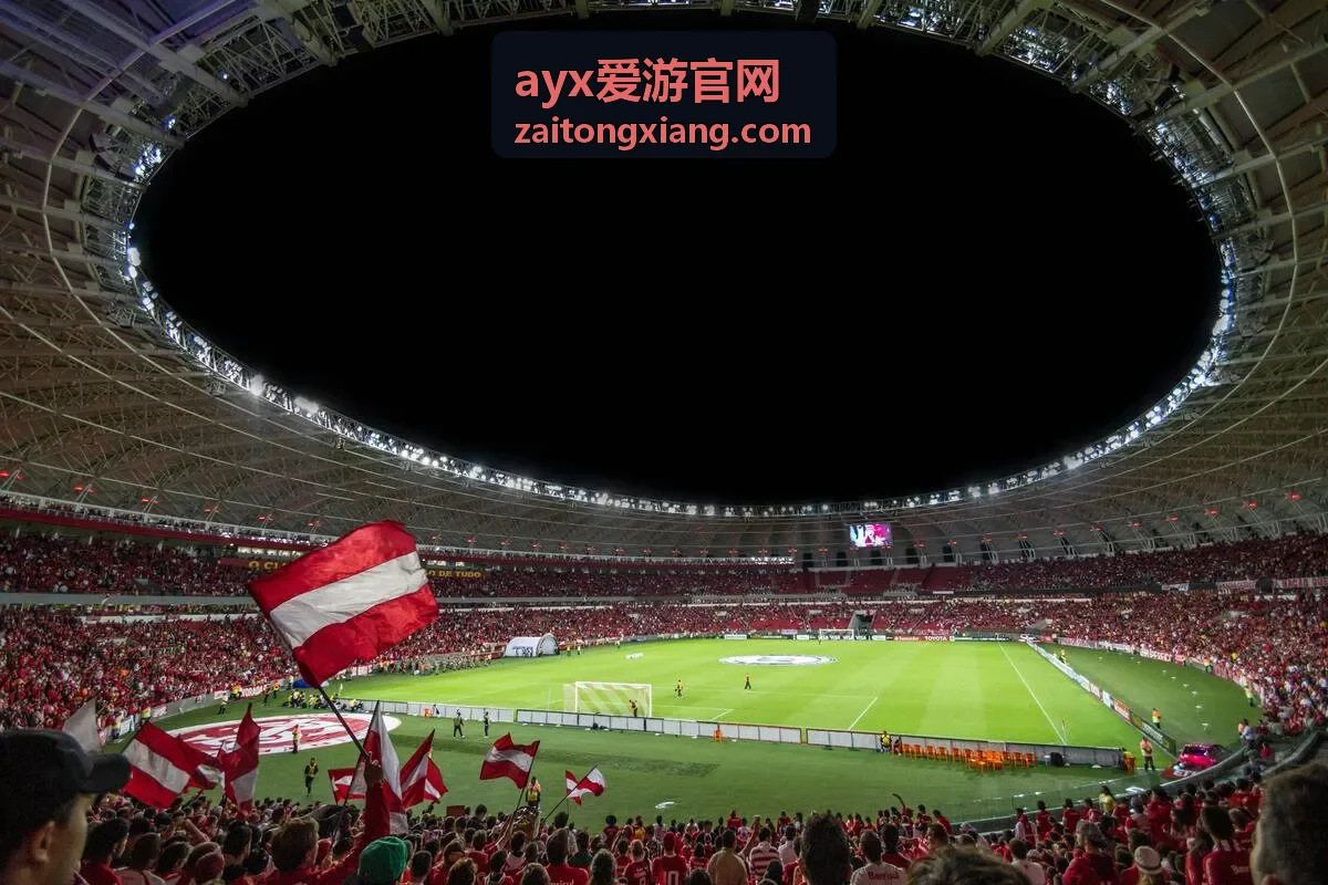 ayx爱游官网平台功能模块展示