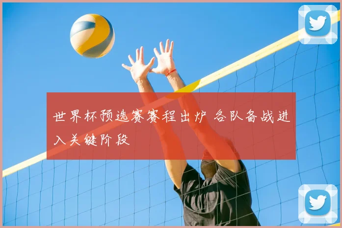 世界杯预选赛赛程出炉 各队备战进入关键阶段