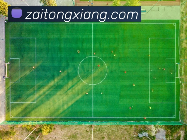 mksports官方登录入口品牌故事