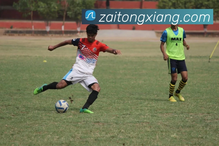 世界杯官方入口服务体系